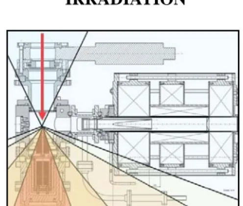 Figure 1: angular distribution of neutrons downstream  from the target 