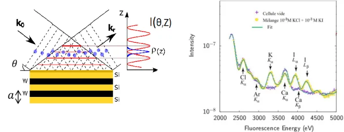 Figure 1. Left. Schematics of the standing wave experiment. Incident (wave vector k in ) and reflected (wave vector k r ) X-ray waves interfere  to create a standing wave field perpendicular to the interface