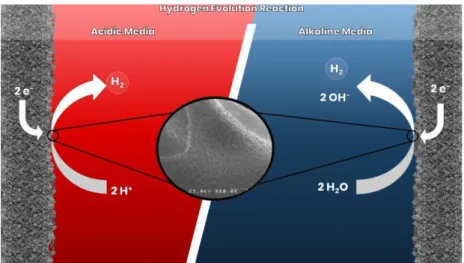 Figure 1: Hydrogen evolution in acidic and alkaline media. 