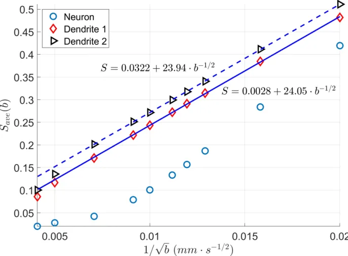 Figure 5: The diffusion direction averaged signal,  ( ), as a function of  1/√ .  ( )  is normalized so  that  ( = 0) = 1