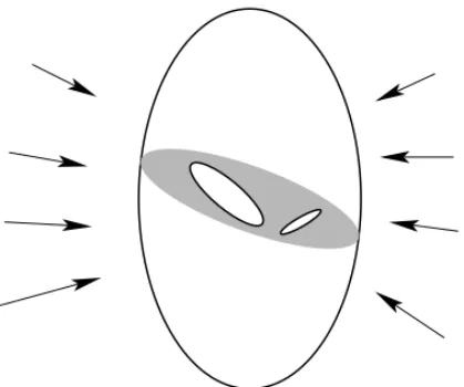 Figure 13.1. Flat planar cracks in the interior of a body