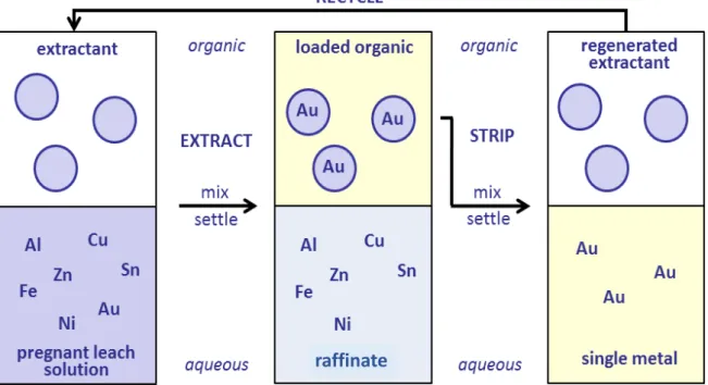 Figure 1 Schematic describing the separation of metals using solvent extraction. Circles in  the organic phase represent extractant molecules or aggregates