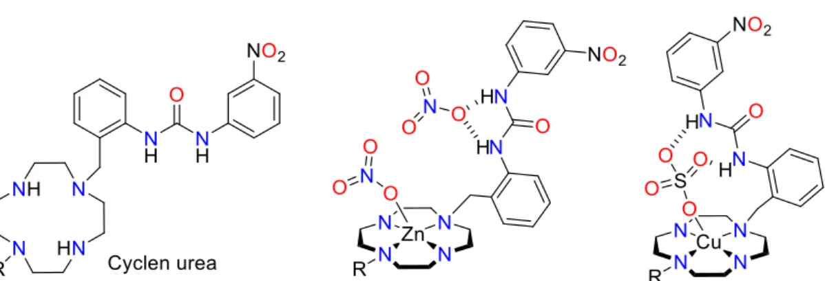 Figure 9 Ditopic ligands for simultaneous metal cation and anion binding. 