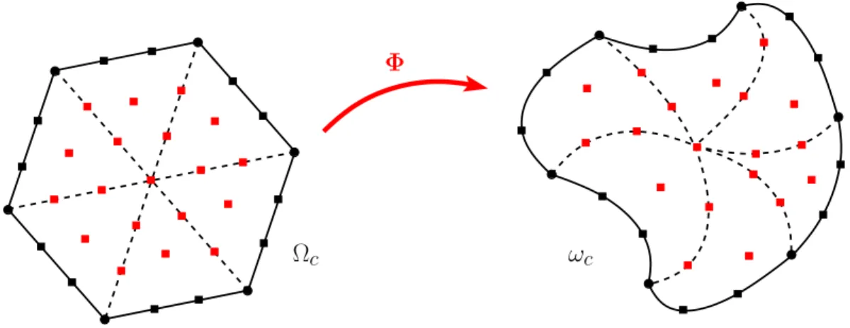 Figure 5: Transformation of Ω c to ω c through the flow. • boundary cell nodes,  boundary cell control points,  interior cell points.