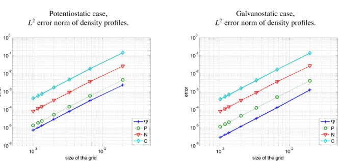 Figure 5.2: Estimated error: difference between the discrete solutions for different grid sizes and a reference solution computed on a grid with 30000 points after 2 h, for δ = 0.1 and ∆t min = 5 · 10 −3 h.