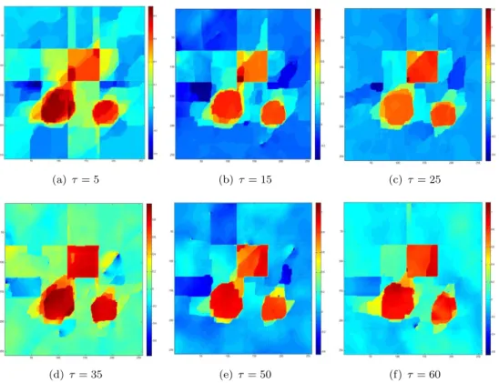 Figure 5.5. Noiseless data - ε = 0.1 - sensitivity with respect to τ
