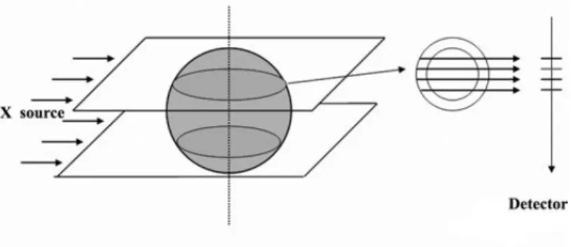 Figure 2.1. Parallel X-rays : the information along a detector segment depends on a planar slice of the object.