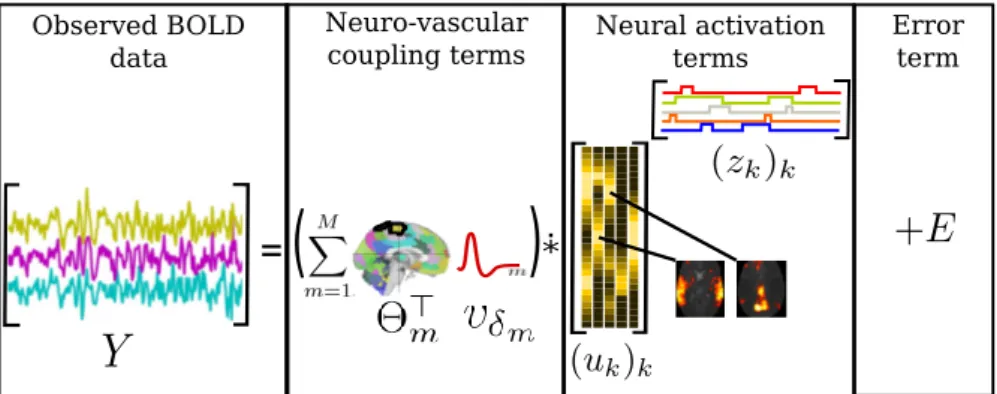 Figure 3: Illustration of the low-rank multivariate BOLD signal model (the colors are here for illustrative purposes)