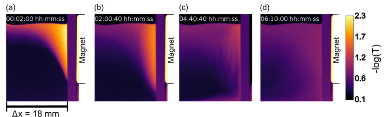 FIG. S2. 50 µL 0.5 M Gd(NO 3 ) 3 solution (ρ = 1200 kg m −3 ) above 800 µL 1.3 M Y(NO 3 ) 3 solution (ρ = 1320 kg m −3 ) in a 2 mm path length quartz cuvette