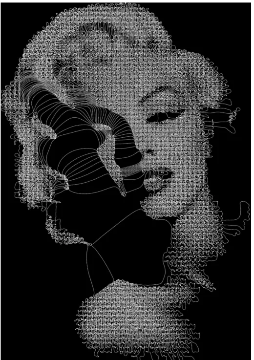 Figure 7: Projection of Marylin image, onto the set: C = {p ∈ (W 2,∞ ([0, T ])) 2 , sup i∈[1,N] (kD 1 p(i)k 2 ) ≤ α 1 , sup i∈[1,N] (kD 2 p(i)k 2 ) ≤ α 2 }, with N = 100, 000