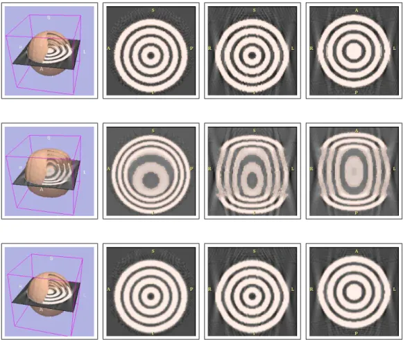 Fig. 8 – Repr´esentation qualitative des solutions. Premi`ere ligne : solution f Static ` a partir des donn´ees statiques suivant la mˆeme organisation que la premi`ere ligne de la figure (7)