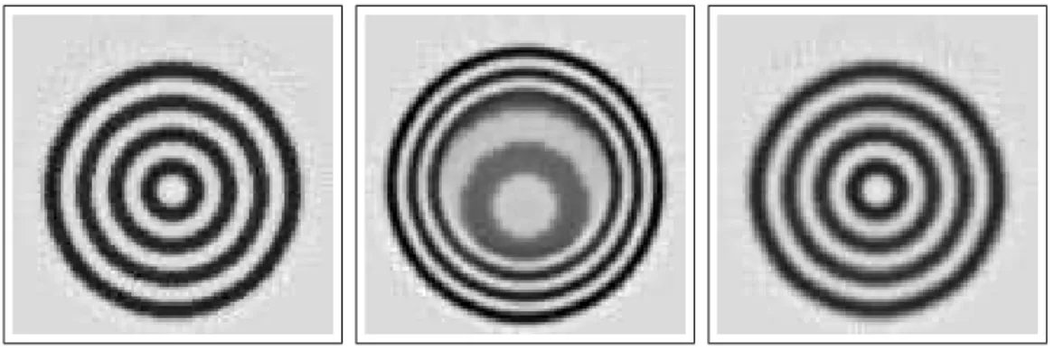 Fig. 9 – Coupe Z=1/100 des reconstructions `a partir des projections du fan- fan-tˆome statique (gauche), `a partir du fantˆ ome dynamique sans compensation des d´eformations (centre), du fantˆome dynamique avec compensation des d´eformations avec l’´equat