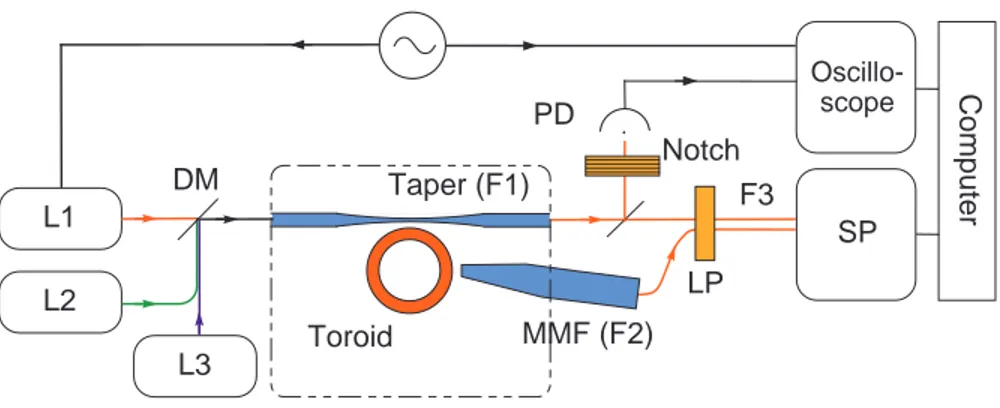 Fig. 2. Three Laser L1 , L2 and L3 combined on a dichroic beam-splitter DM , are injected in the tapered fiber to characterize or to pump the microtoroid
