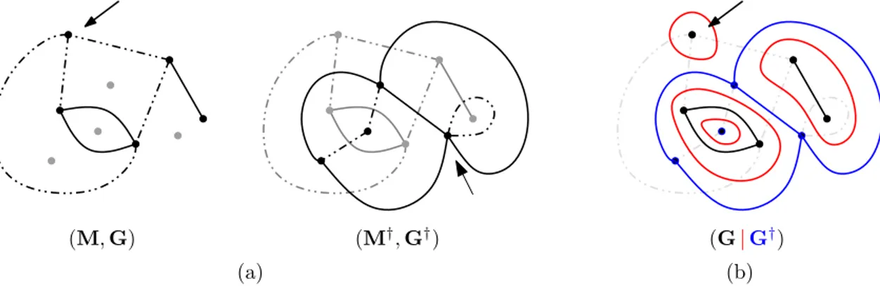 Figure 1: (a) A subgraph-rooted map and its dual. Edges of the distinguished subgraph are drawn in solid line, and the other edges in dashed line