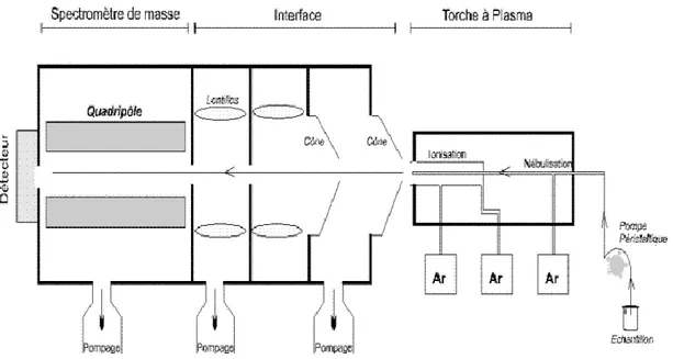 Figure 17 : Réaction de liaison du réactif d’Ellmann avec un composé soufré (R-S - ). Cette réaction donne lieu à  la production d’une molécule de NTB quantifiable par la mesure de l’absorbance du mélange à 412 nm