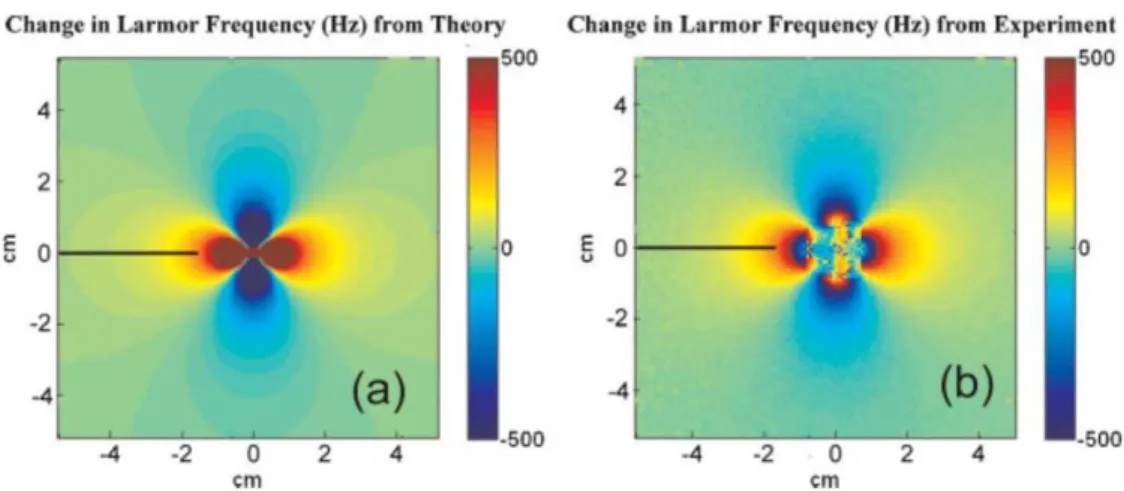 Figure  13.  Estimation  (a)  et  mesure  (b)  des  modifications  des  fréquences  de  Larmor  autour  d’un  échantillon d’UPSIO-NPs
