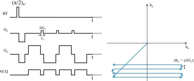 Figure 16. Diagramme d’une séquence EPI et parcours de l’espace-k correspondant. Un gradient dans  la direction x est appliqué sous forme d’une succession continue de gradient bipolaires pour refocaliser  et  acquérir  un  train  d’échos,  gradient  dit  d