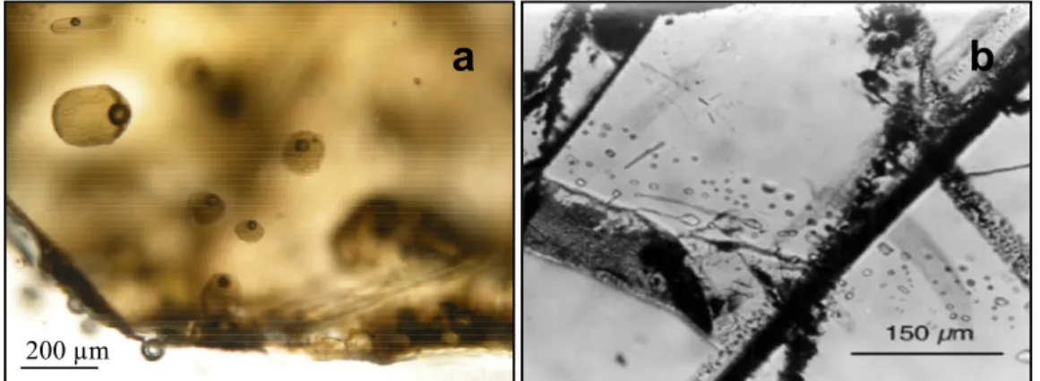 Figure  1.2.  Photographies  d’une  population  a)  d’inclusions  vitreuses  primaires  avec  une  bulle de retrait et b) d’inclusions secondaires piégées dans un minéral (Schiano, 2003)