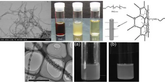 Fig. 1.11 – Partie haute : image de MET des nanotubes utilis´ es pour la solubilisation avec le PEG bis-amin´ e [145], photographie des solutions de nanotubes obtenues (a : apr` es  fonc-tionnalisation b : apr` es dialyse de (a) c : apr` es centrifugation 