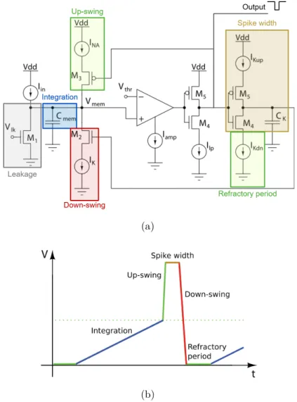 Figure 1.3.3: (a) Example of a bio-inspired silicon-based Leaky Integrate- Integrate-and-Fire (LIF) neuron circuit from [181]