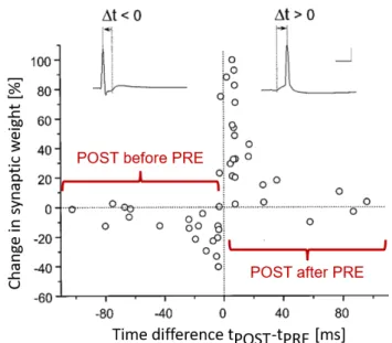 Figure 1.3.4: Experimental Spike-Timing Dependent Plasticity (STDP) observed by Bi and Poo [133]