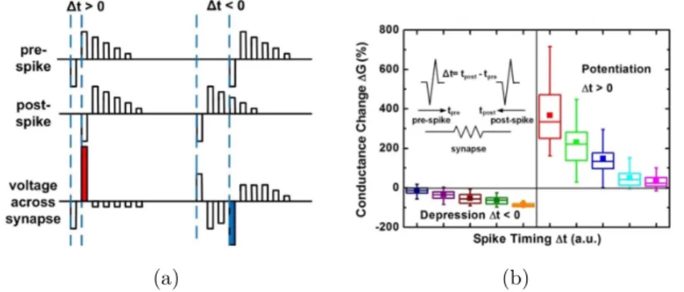 Figure 1.3.8: (a) Pre- and post-synaptic spike sequences to enable Spike-Timing-Dependent Plasticity (STDP) with pulse amplitude  modu-lation