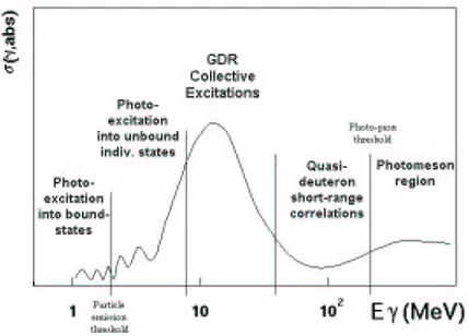 Figure 3.2: Schematic representation of total photoabsorption cross-section on nuclei
