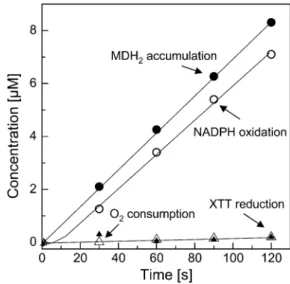 Figure 5. pH dependence of NADPH oxidation and XTT reduction affected by the NAD(P)H oxidoreductase in the presence of MD.
