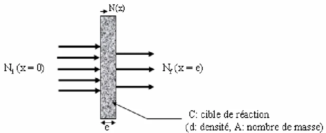 Figure III.1: Schéma  d’atténuation d’un faisceau radioactif par une cible mince de réaction (Carbone  par exemple).