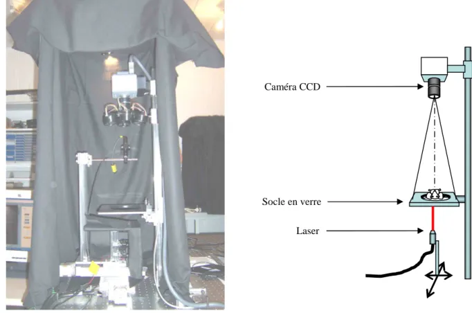 Figure 1.3. Photo et schéma du montage : positionnement de la souris entre le laser et la caméra