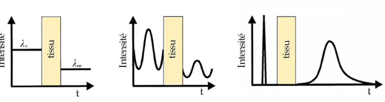 Figure 1.5. Schéma des 3 principaux types d'imagerie optique [Delpy1997] : continu, fréquentiel, temporel