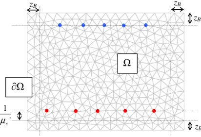 Figure 1.11. Schéma d’un maillage simple 2D créé par COMSOL Multiphysics dans un objet rectangulaire ;  exemple de positions de la source (points rouges) et des détecteurs (points bleus) ; z B  est la distance  d’extrapolation des frontières pour les condi