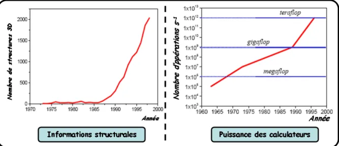 Figure I-5 : Évolution parallèle des informations structurales contenues dans la PDB et de la puissance des calculateurs