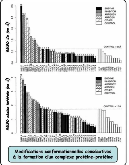 Figure  II-2 :  Valeurs  de  RMSD  calculées  entre  les  structures, à l’état libre ou lié, 