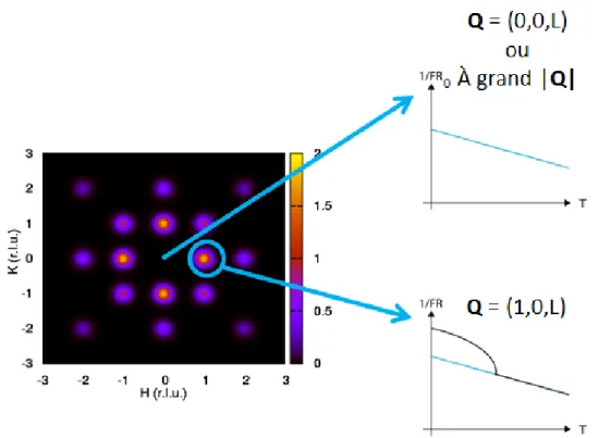Figure 2.9: Figure de diffusion de neutrons prenant en compte les 4 domaines de boucles de courant [108].