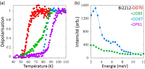 Figure 2.13: (a) Caractérisation de la température critique T c par des mesures de dépolarisation de faisceau de neutrons pour quatre échantillons: OD70 (points rouges), UD85 (points verts),  Bi2212-OD87 (points bleus) et Bi2212-OP91 (points violets)