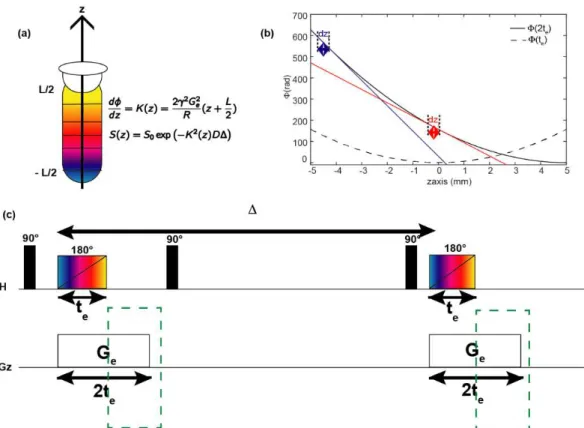 Figure 28: Phase variation during spatial encoding of the diffusion dimension. (a) Sample partitioned in several  slices