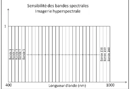 Figure II-44 - Sensibilité hypothétique des bandes spectrales de l'imagerie hyperspectrale 