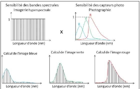 Figure II-45 - Méthodologie de calcul des images de &#34;pseudo-photographie&#34; à partir des images  de la caméra hyperspectrale 