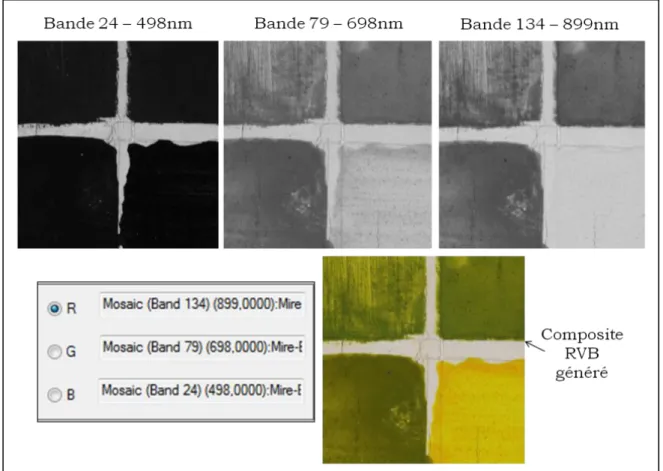 Figure II-28 - Exemple de génération de composite en fausses couleurs à partir des images  hyperspectrales (bandes n°24,79 et 134) sur des échantillons de pigments 