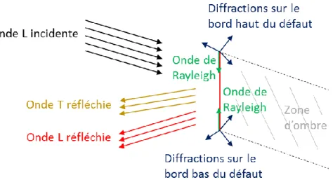 Figure 2.3 : Interaction entre une onde plane longitudinale incidente et un défaut plan non  débouchant