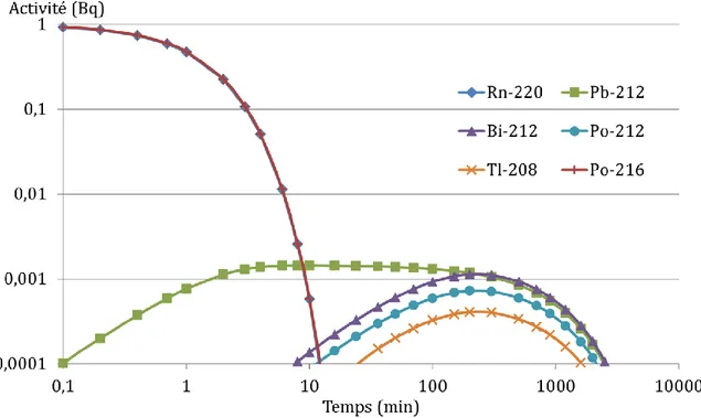 Figure  1-12  :  Évolution  de  l'activité  du  220 Rn  et  de  ses  descendants  dans  un  volume  fermé