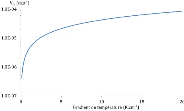 Figure 2-8 : Représentation de la vitesse de thermophorèse en fonction du gradient de  température en régime moléculaire