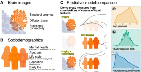 Figure 4.1: Approximating health-related psychological constructs from brain imaging and sociodemographics