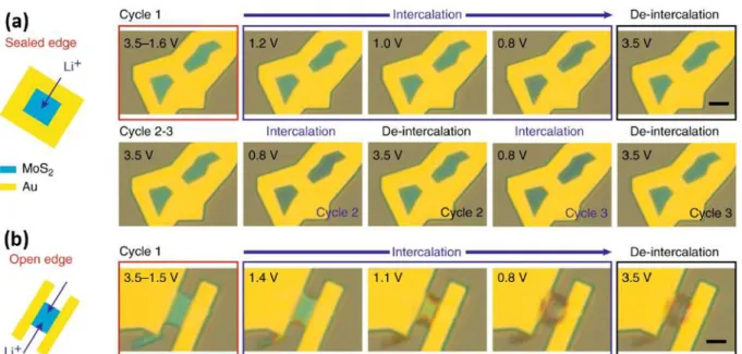 Figure I.7: In situ optical images of Li intercalation in MoS 2 . (a) Through the top surface, (b) through open edges