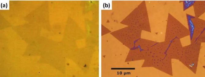 Figure II.5: Representation of contrast enhancement by the BALM microscope.