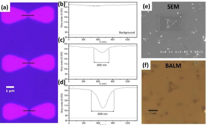Figure II.6: Experimental resolution limit of the BALM set-up. (a) BALM image of chromium triangles on gold with increasing separation, (b,c,d) associated gray scale profiles