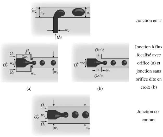 Figure III-2 : Variétés de jonctions permettant la formation d’un écoulement segmenté en  micro-canal [2] 