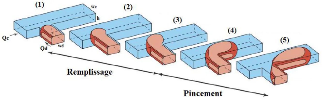 Figure III-3 : Etapes de formation d’un plot en régime de pincement, d’après Van Steijn et al