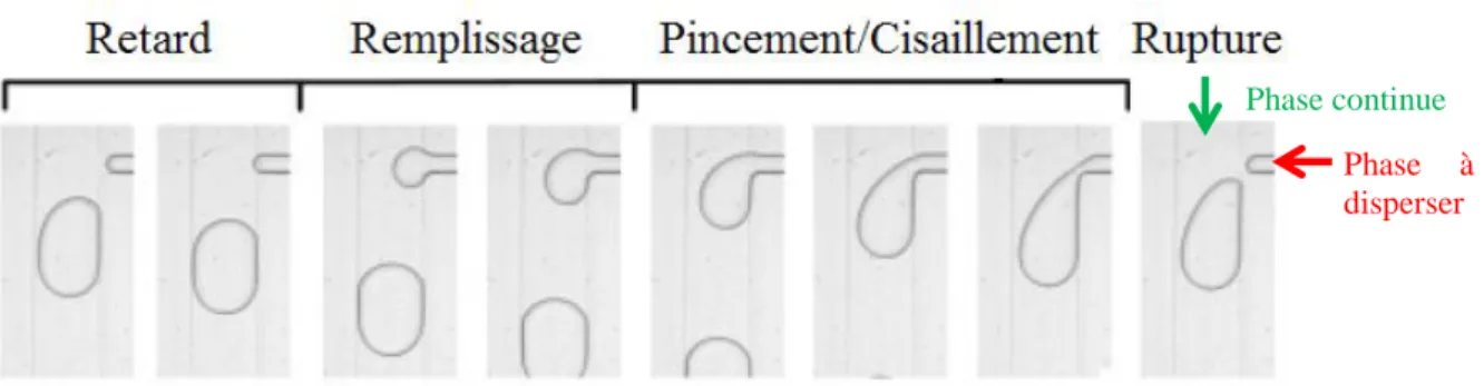 Figure III-4 : Etapes de formation d’un plot en régime transitoire d’après Glawdel et al